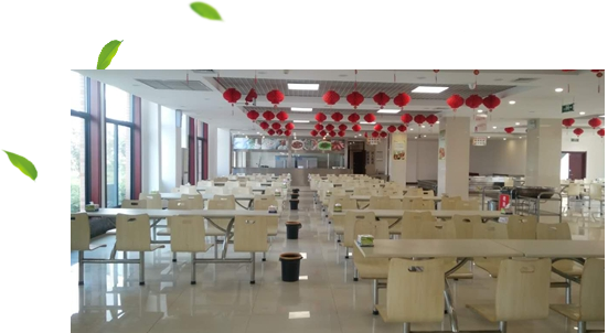 河南英利新材料有限公司